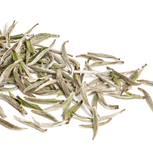 White Tea Fuding Silver Needles Bai Hao Yin Zhen